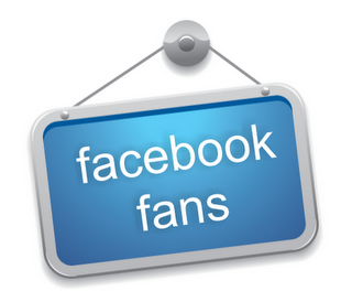 facebook-fan-page-fans.png