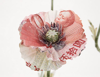 money art design origami papiroflexia creatividad arte diseño dinero moneygami justine smith flowers flores
