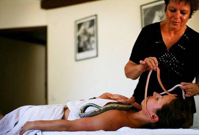 صور أغرب أنواع «المساج» بالثعابين 06 Massage By Snakes