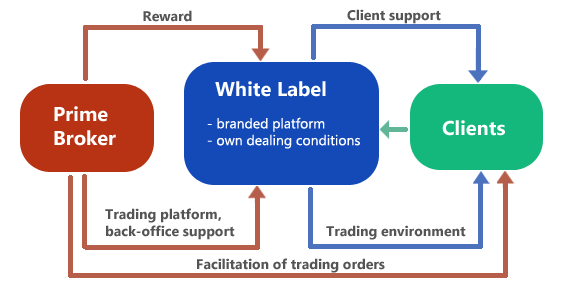Best forex white label program