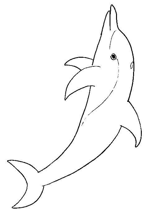 Dolphin Fish Animal Coloring Books for Kids
