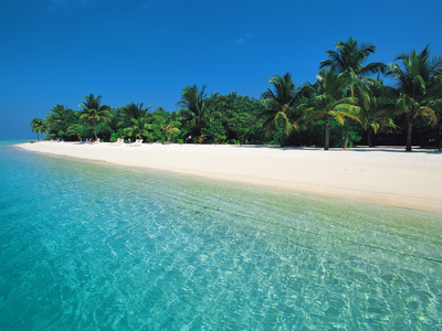 summer beach summer beach