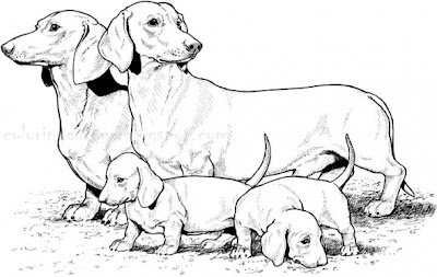Dachshund Printable Coloring Pages