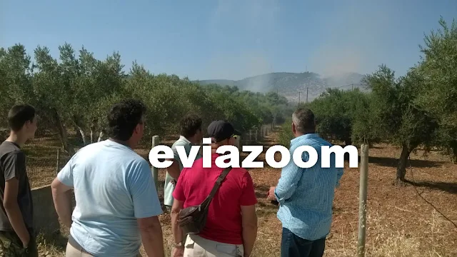 Πύρινη λαίλαπα στη Χαλκίδα: Η φωτιά έφτασε μέχρι το Δοκό και το Αφράτι!  Κάηκαν χιλιάδες στρέμματα πράσινου (ΦΩΤΟ & ΒΙΝΤΕΟ)