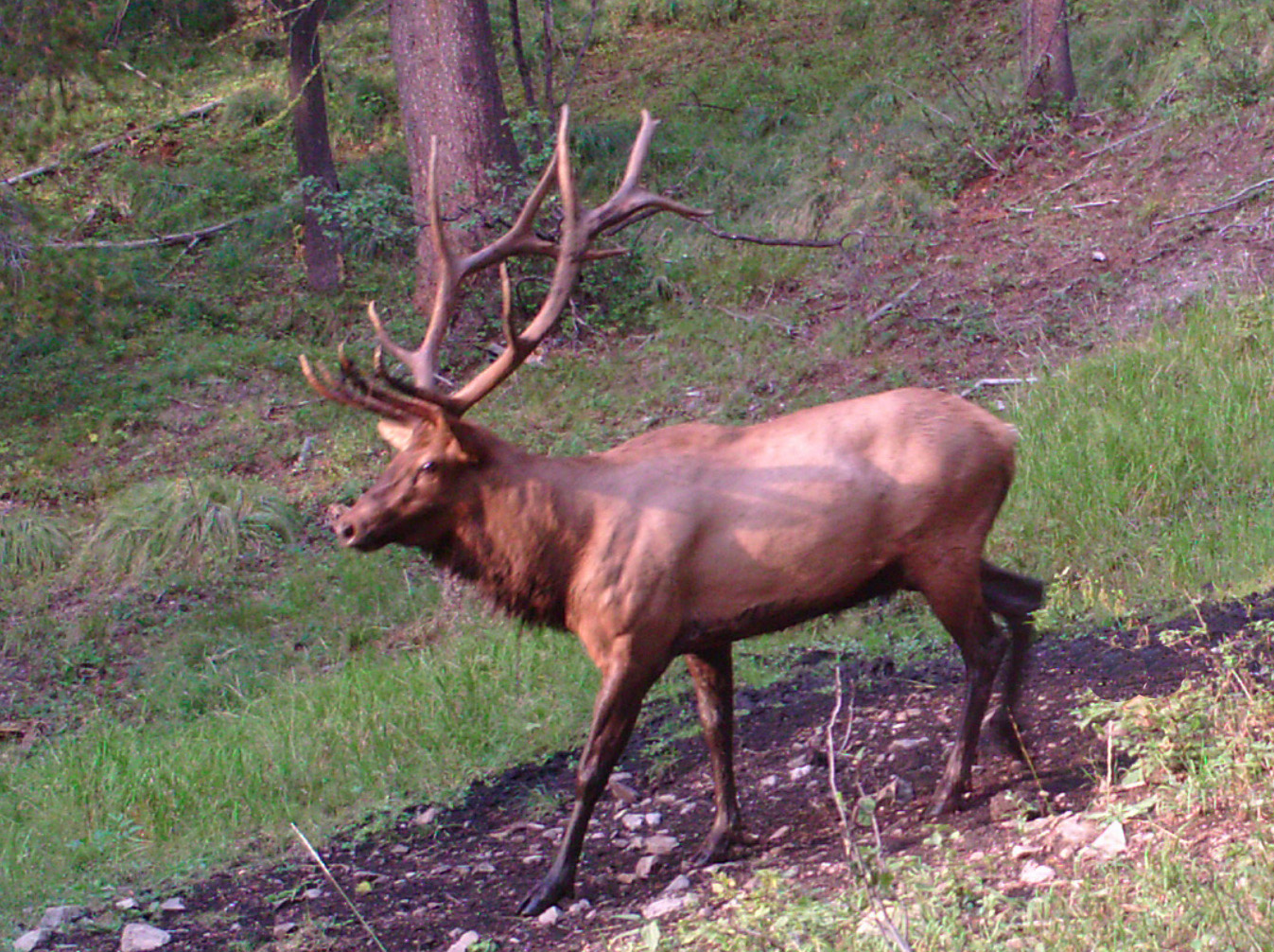 Salmon Idaho Rated 2 in US for Hunting & Fishing Business Listings