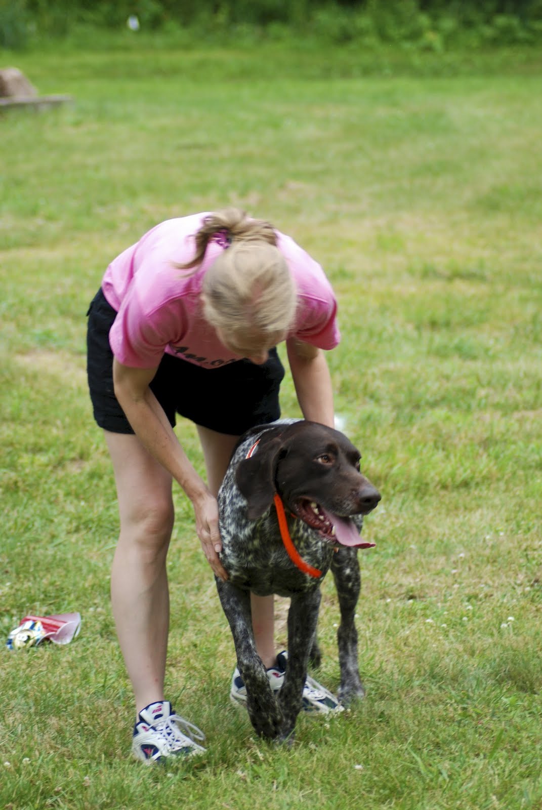 Adventures of a GSP Hunting Dog GSP Dog Party!