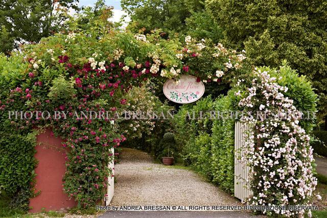 Pensieri in forma di rosa: Dimora di Campagna e Giardino ...