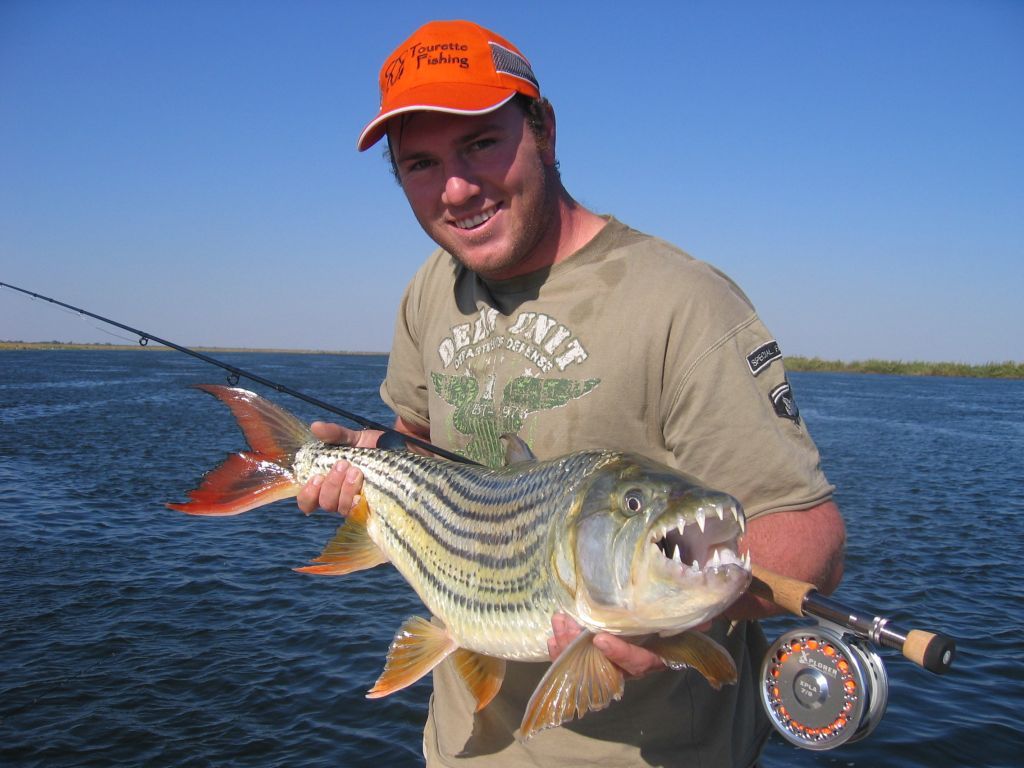 Giant Tiger Fish