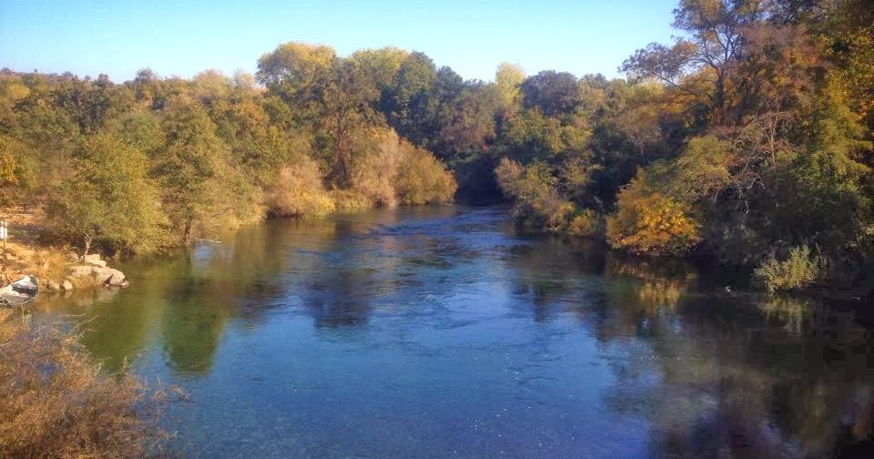 Mom Taxi Julie Hanging Out With The Fish