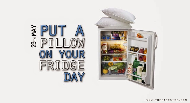 every day is special may 29 put a pillow on your fridge day