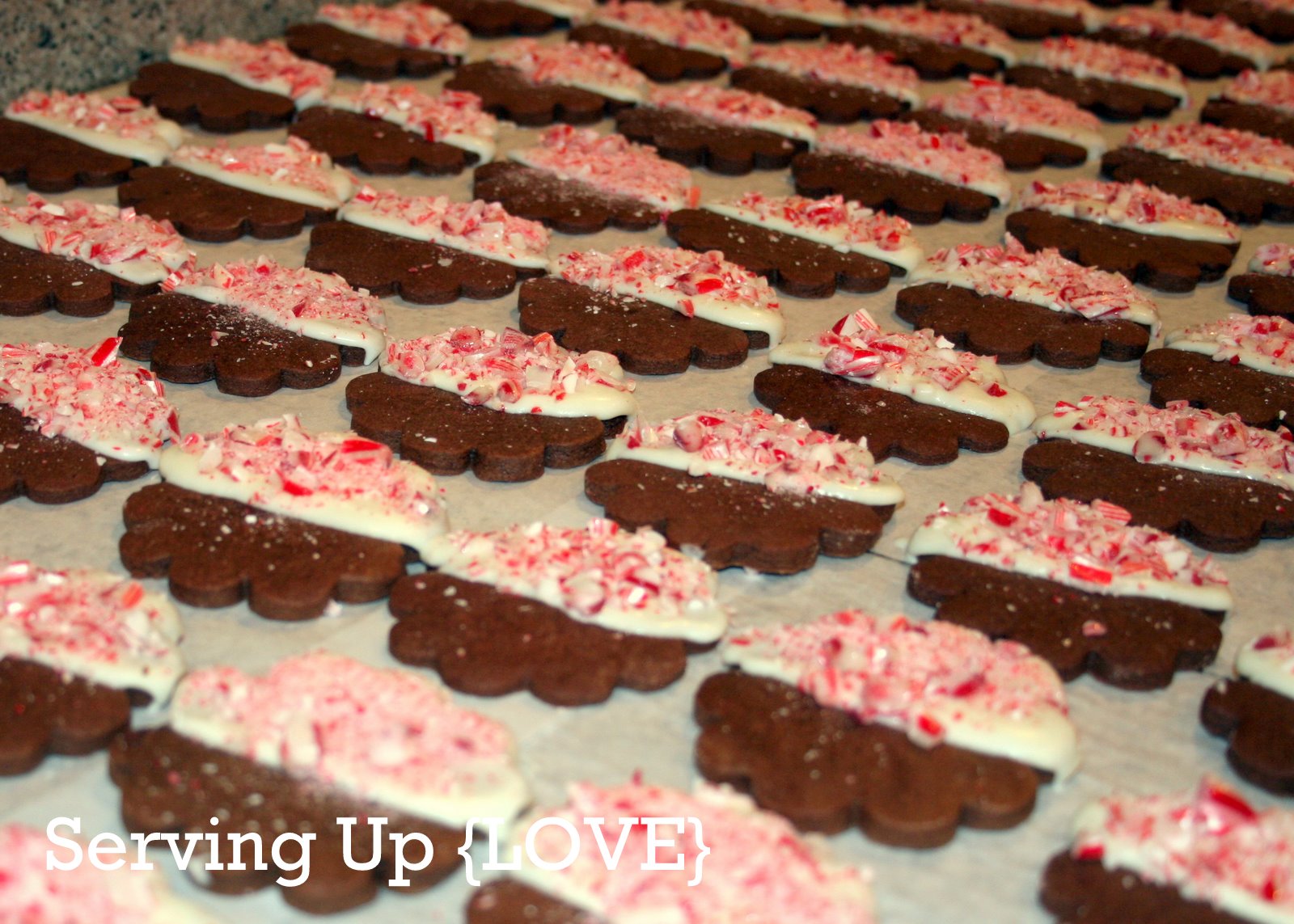 Katherine's Kitchen Serving Up {Cookies} Brownie Roll Out Cookies