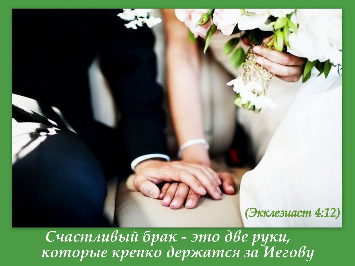 Фото парня и девушки со спины свадьба Фото парня и девушки со спины свадьба