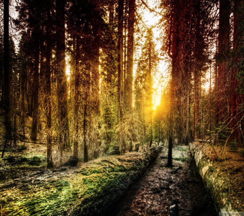 Beautiful Nature Profile Pictures Top Profile Pictures Display Pictures