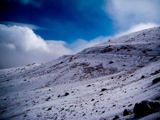 Parque Natural Los Nevados