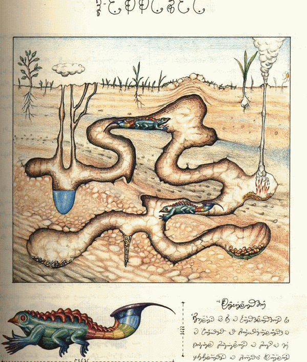 The Voynich Manuscript: Raymond Clemens, Deborah E