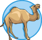 http://4.bp.blogspot.com/-XB3CWrLAv00/TmnVxrYqshI/AAAAAAAAEKk/_5N-mshMtPY/s1600/marokko-reisen-urlaub-angebote-touren.gif