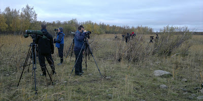 Hailuoto Riisinnokka