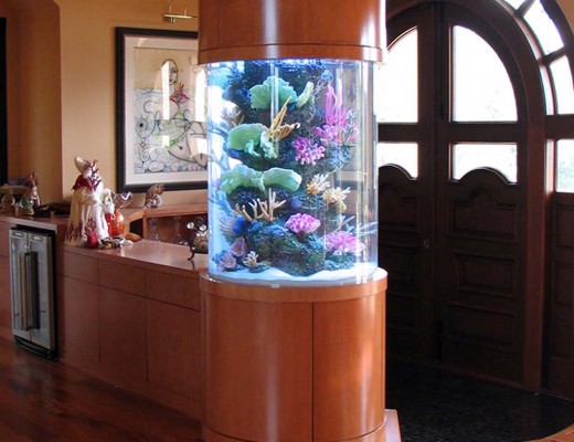 creative aquarium room divider design
