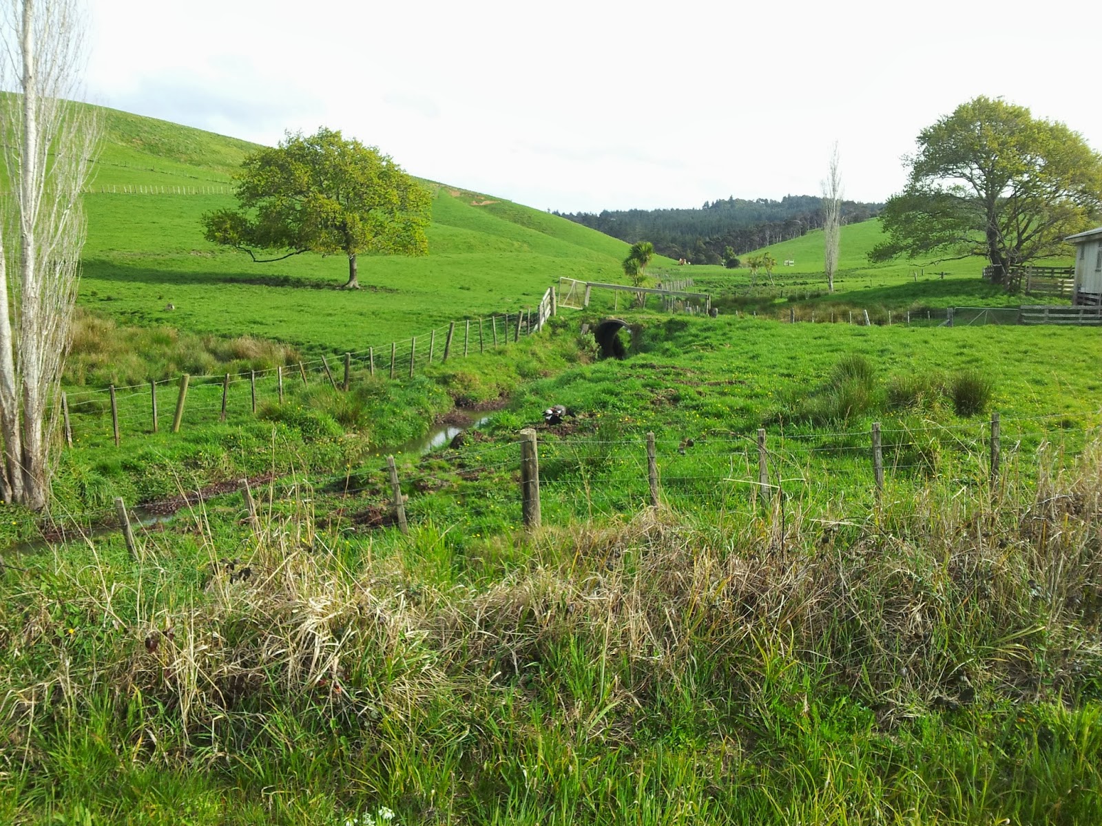 siti per incontrare ragazzi minorenni