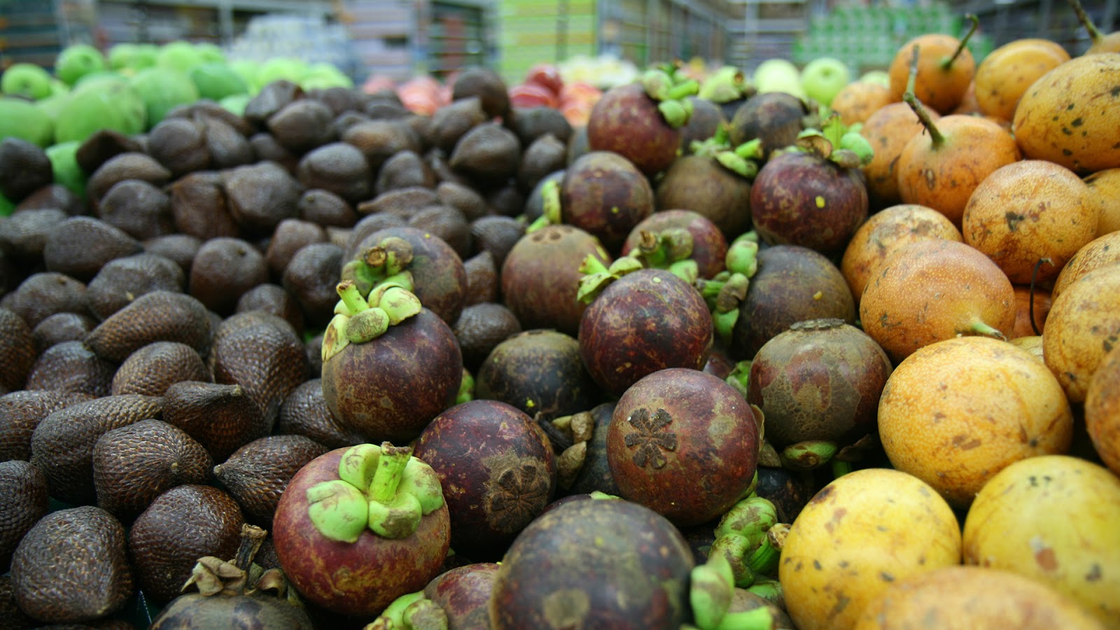 a lush forest Permaculture in Indonesia