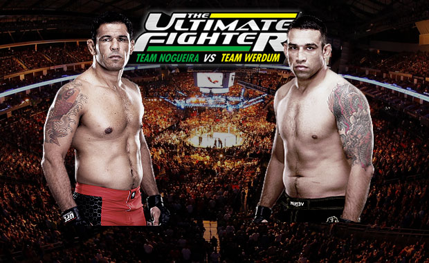 UFC dispensa 12 dos 16 lutadores do reality show 'The Ultimate