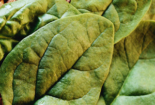 اطعمة صية  Dark+grrn+leaf