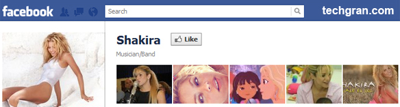 Shakira on Facebook,Musician/Band