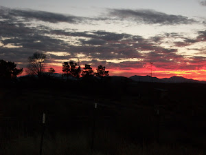 Happy Thanksgiving! November sunset in AZ