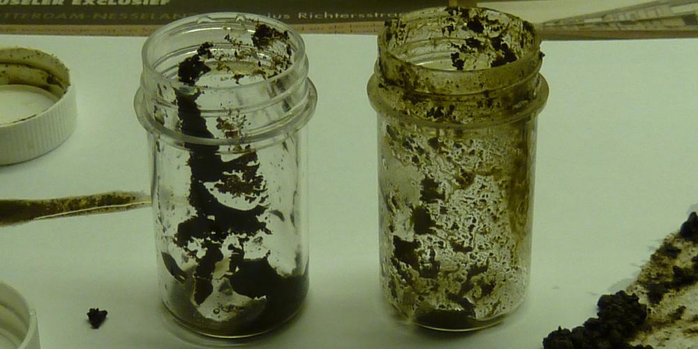 Urban Adventure in Rotterdam Soil experiment