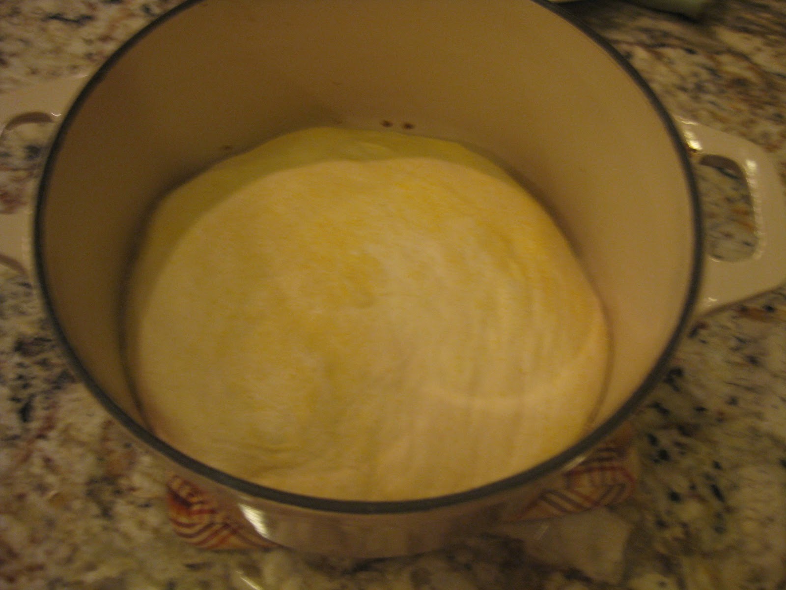 Knead Not Sourdough Bread (originally from Alton Brown) A Baker's House