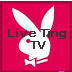 Cinero Adult tv online