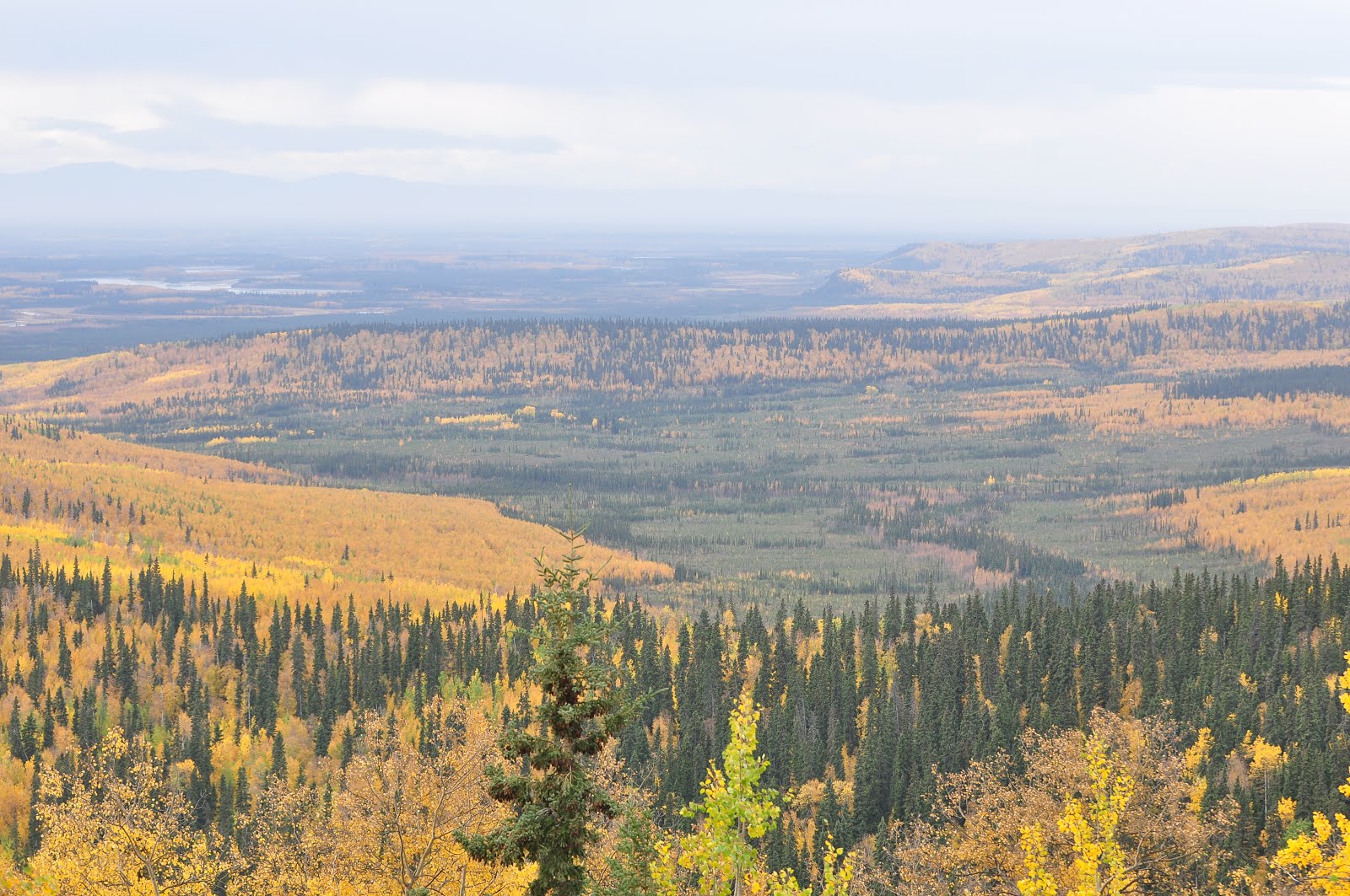 Nikon Sniper View North of Ester, Alaska