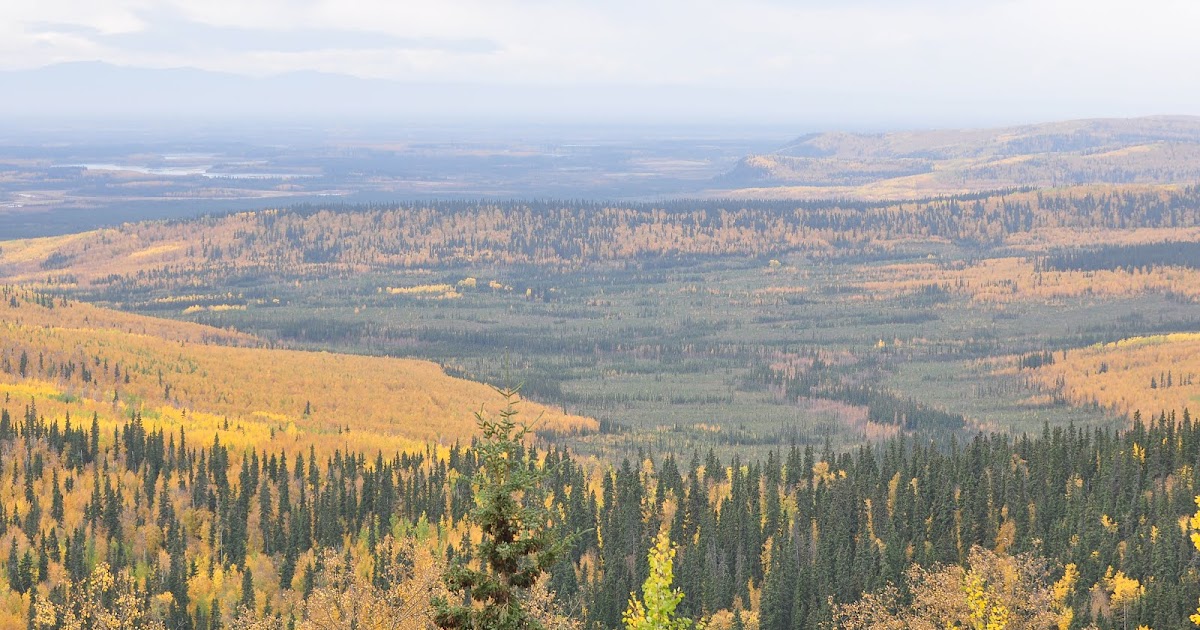 Nikon Sniper View North of Ester, Alaska