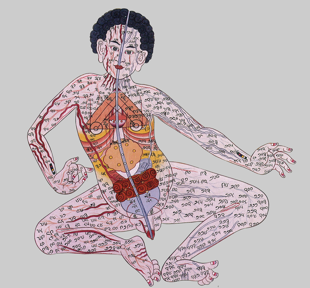the health preserving treasure house nadi sanskrit 經絡 nadi chart
