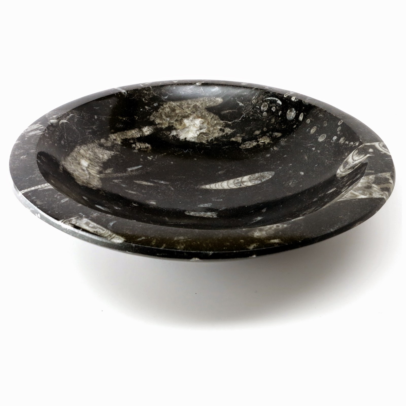 I Dig Crystals Healing Fashion Blog Orthoceras Fossil Dishware