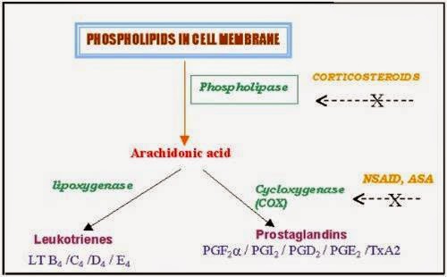 Classification of indocin