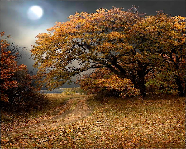 Autumn-pictures-+Wallpaper-Photos-gallery-2011-003