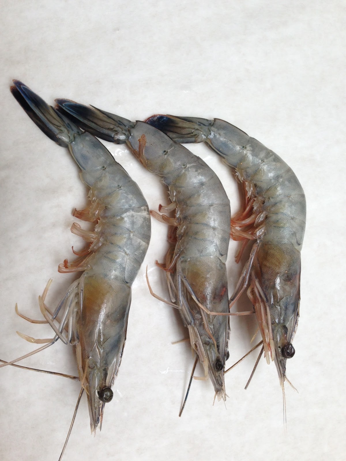 The Edible Ocean Try Them Raw