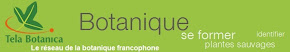 Le réseau de la botanique francophone