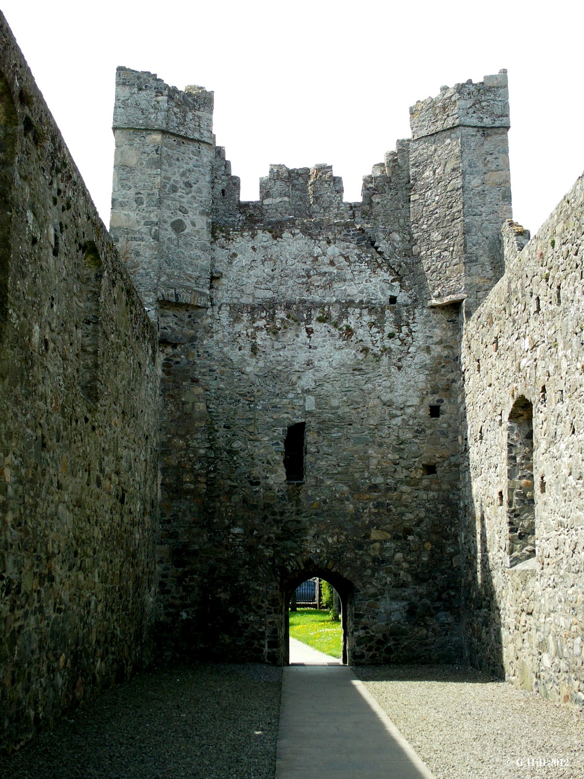 Ireland In Ruins Carlingford Abbey Co Louth