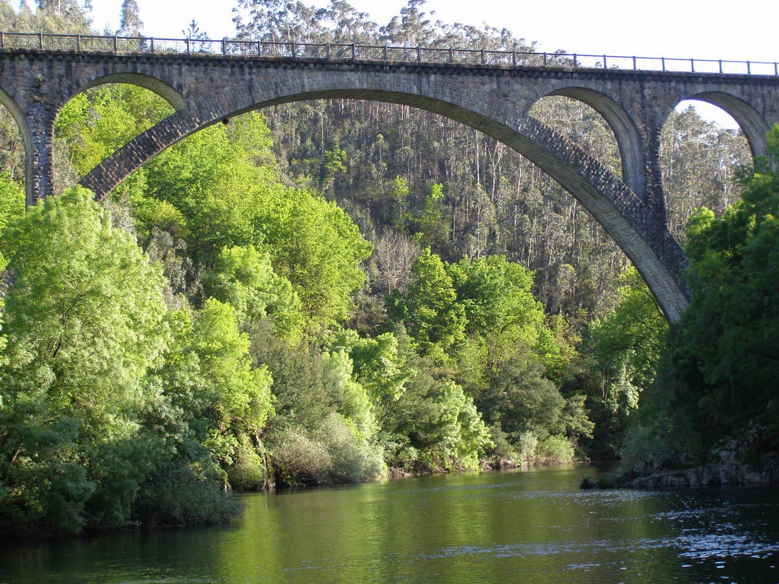 AuToCaRaVaNiStA PESSEGUEIRO E PARADELA DO VOUGA SEVER DO VOUGA
