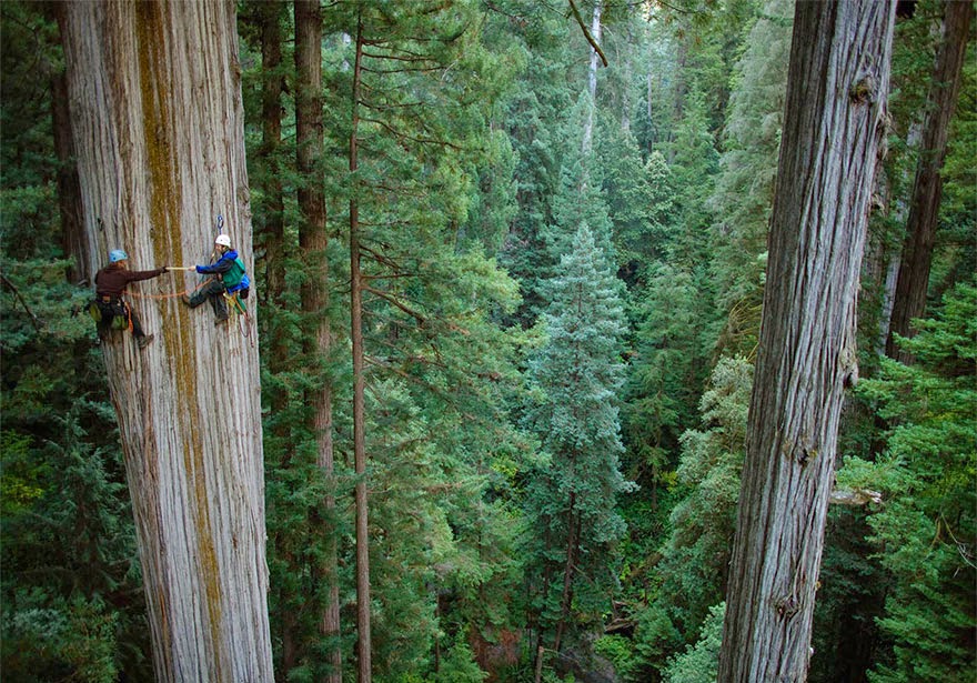30 Death-Defying Photos That Will Make Your Heart Skip A Beat 30 Death-Defying Photos That Will Make Your Heart Skip A Beat