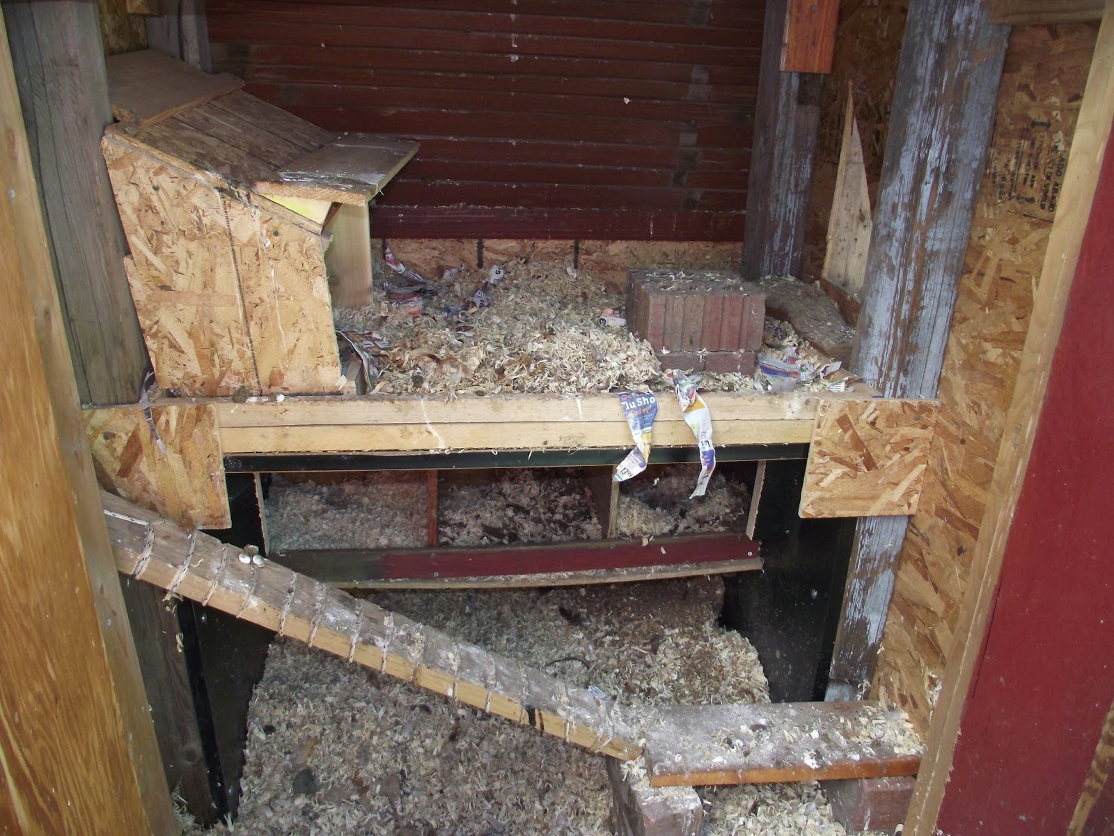 Denver Chicken Coop Tour