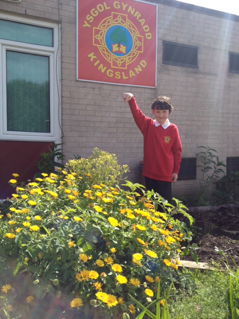 Ysgol Uwchradd Caergybi