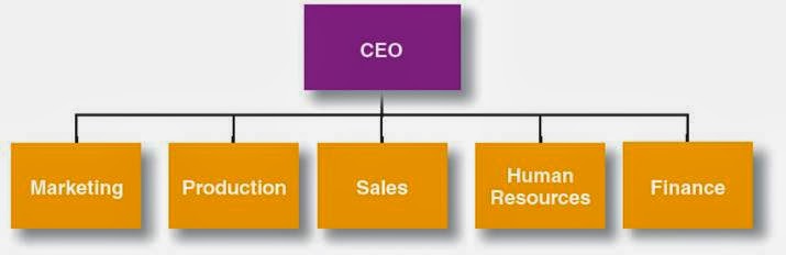 Meaning Of Lines In Organizational Chart