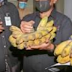 MAFI dalam perancangan pinda Akta 728