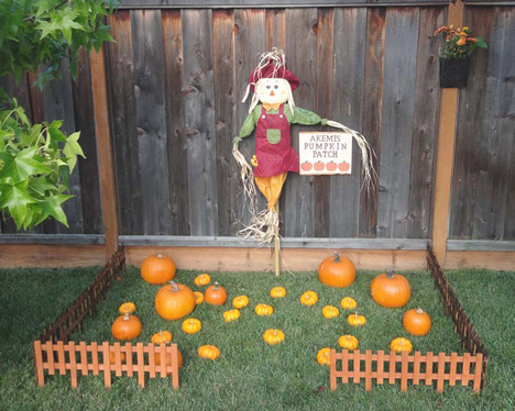 Baby Shower Templates Free: Real Party: Little Pumpkin's 1st Birthday!