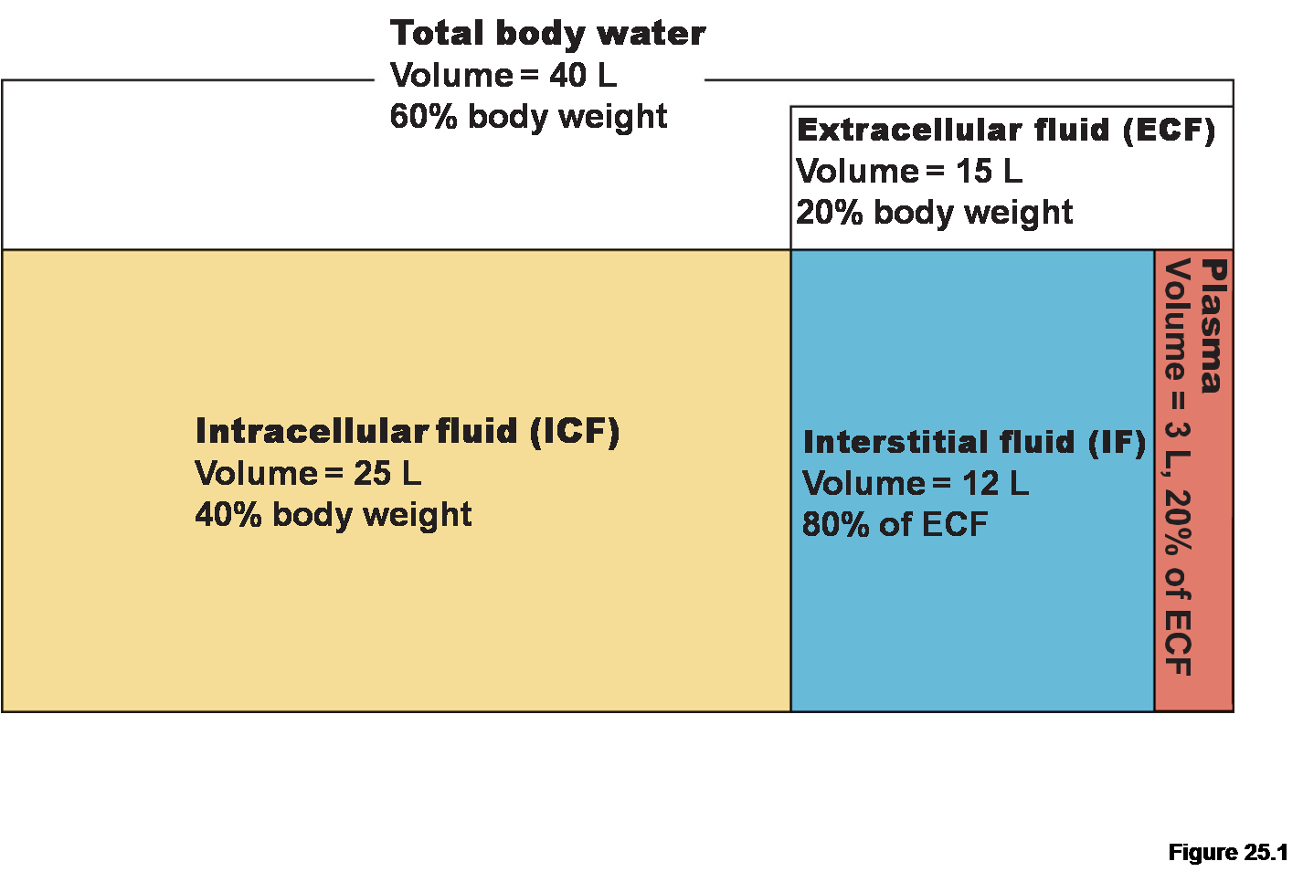 Extracellular fluid volume Aslomaya
