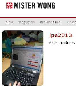 Proxecto Mister Wong