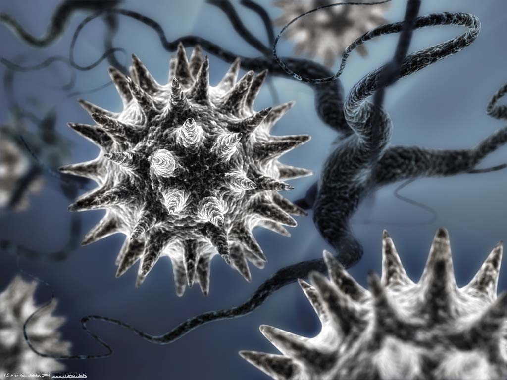 ENFERMEDADES QUE PRODUCEN LAS BACTERIAS Y LOS VIRUS enfermedades que producen las bacterias y los virus:
